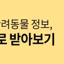 서울앵무새 연구소 이미지
