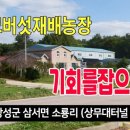 소룡농장 이미지