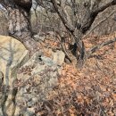 관음1리 이미지