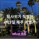 584-16 배불뚝이 해장국앞 | [6월 제주] 4박5일 여름 제주도 퇴사 극복 여행기 DAY5