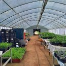 (주)와이즈팜 이미지