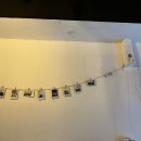 하얀집 | [서울 송파] 석촌호수 근처 최애 술집을 소개합니다 - 하얀집 내돈내산 후기 🤍