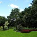 자라는나무 이미지