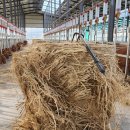 초우농장2 이미지