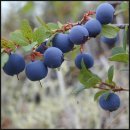 아이(eye) 플러스 이미지