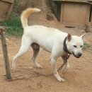 창용농장 이미지