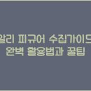 수집수집
