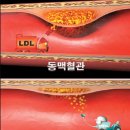 라이프짐 휘트니스 이미지