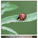 ㈜킨섹트 이미지