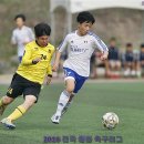 용인레이번스축구단 Daum카페