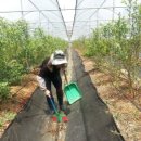 탑골농장 이미지