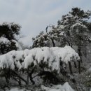 산하의물결 이미지