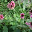 종로-종로-종로-종-110 이미지