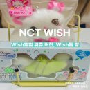 스마트팡 | NCT WISH 돌 팡, 위츄버전 구매후기, 개봉기!