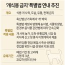 '개식용 금지' 특별법 연내 추진 이미지