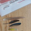 아이타운 | 양평 아이동반 여행 ‘앵무타운’ - 앵무새 체험카페 후기