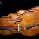 첼로 1:1 맞춤레슨 이미지