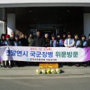 가지리부대 이미지