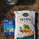 용성땅콩 이미지