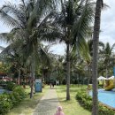 키즈마린 워터파크 | 셀렉텀노아 수영장 시간 키즈풀 워터파크 후기