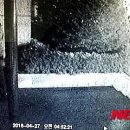 자유기물
