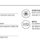엄지코스메틱