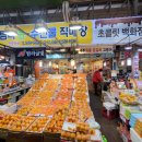 탐라귤빛 이미지