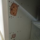 세븐일레븐 부산서면파크점 | 부산 서면 동일파크 스위트 1차 아파트 부엌 붙박이장 경첩 파손 보강 수리 후기