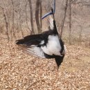 지석농장 이미지