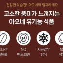 아오네일