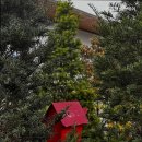 아침햇살스테이 이미지