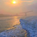 하당로 289번길 6 | 목포배낚시 초보도 꽝 없이 손맛 폭발! 목포 도다리 신세계낚시