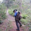 영지버섯 많은 충북 영동 백화산 주행봉(874m,CN-037)(20160710)... 이미지