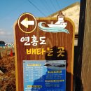 신양항 광장 | 여행후기_mr.j 111 고흥 연홍도 1