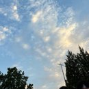 데브드래곤 | 🎆 JUMF 2025 | 감성 한 스푼 추가! 전주얼티밋뮤직페스티벌 2025 대망의 마지막 날 후기