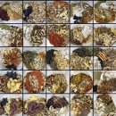 소담재한의원 이미지