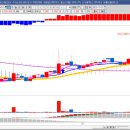 유한회사 셀랙트 이미지