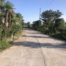 신풍리-2 이미지