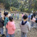 솔바람 유아숲체험원 이미지