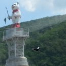 산천어시네마 이미지