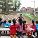 서울유치원 이미지