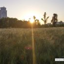 부개공원 이미지