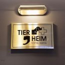 세종다온동물병원 이미지