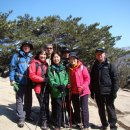 태희자연농장 이미지