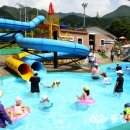 천동물놀이장 이미지