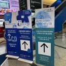 필립스(장미) | 코엑스 2026 서울리빙디자인페어 ㅣ 기본정보 티켓 가격 추천부스 마곡 하노이 리빙페어소식