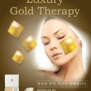 현진씨엔티