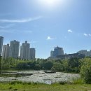 효창공원앞역 피부과 전문 병원 BEST 추천 6곳