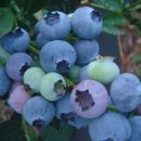 율곡농장 이미지