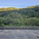 분설담화장실 이미지